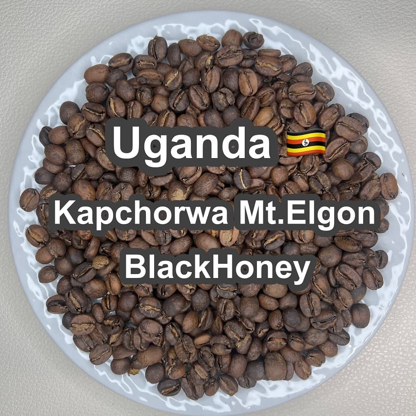 Uganda Kapchorwa Mt.Elgon BlackHoney（ ウガンダ カプチョルワ