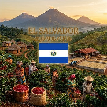 El Salvador（エルサルバドル）