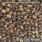 Guatemala New Oriente Geisha Wash SHB（グアテマラ ニューオリエンテ ゲイシャ ウォッシュ SHB）100g【受注焙煎・自家焙煎コーヒー豆】【柑橘のやさしい風味と、リンゴ酸系の酸味】