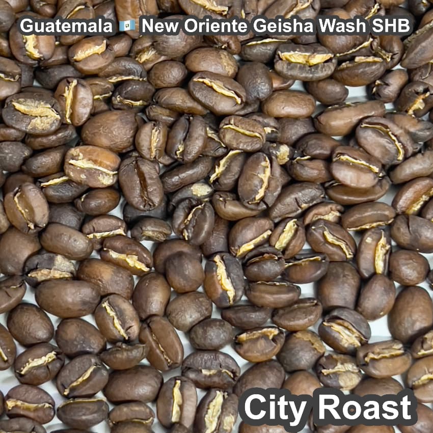 Guatemala New Oriente Geisha Wash SHB（グアテマラ ニューオリエンテ ゲイシャ ウォッシュ SHB）100g【受注焙煎・自家焙煎コーヒー豆】【柑橘のやさしい風味と、リンゴ酸系の酸味】