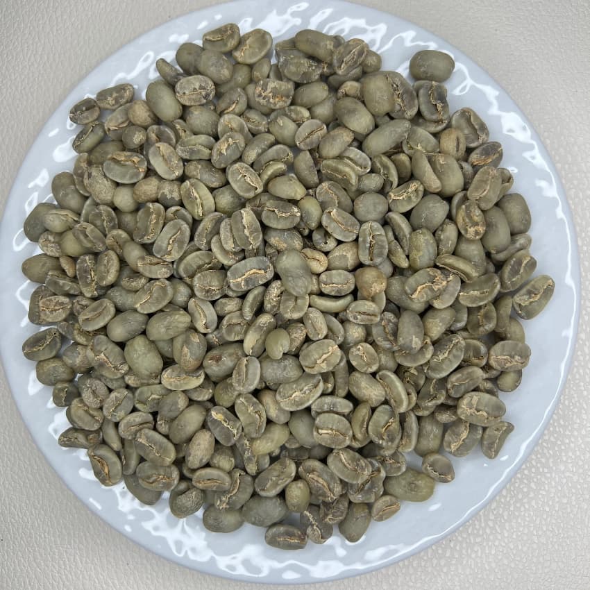 Guatemala Maragogype Copan（ グアテマラ マラゴジッペ コバン）100g【受注焙煎・自家焙煎コーヒー豆】【爽やかな酸味と深いコク】