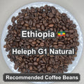 Ethiopia Heleph G1 Natural（エチオピア へレフ G1 ナチュラル）100g【受注焙煎・自家焙煎コーヒー豆】【フルーティーな香りと酸味】