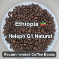 Ethiopia Heleph G1 Natural（エチオピア へレフ G1 ナチュラル）100g【受注焙煎・自家焙煎コーヒー豆】【フルーティーな香りと酸味】
