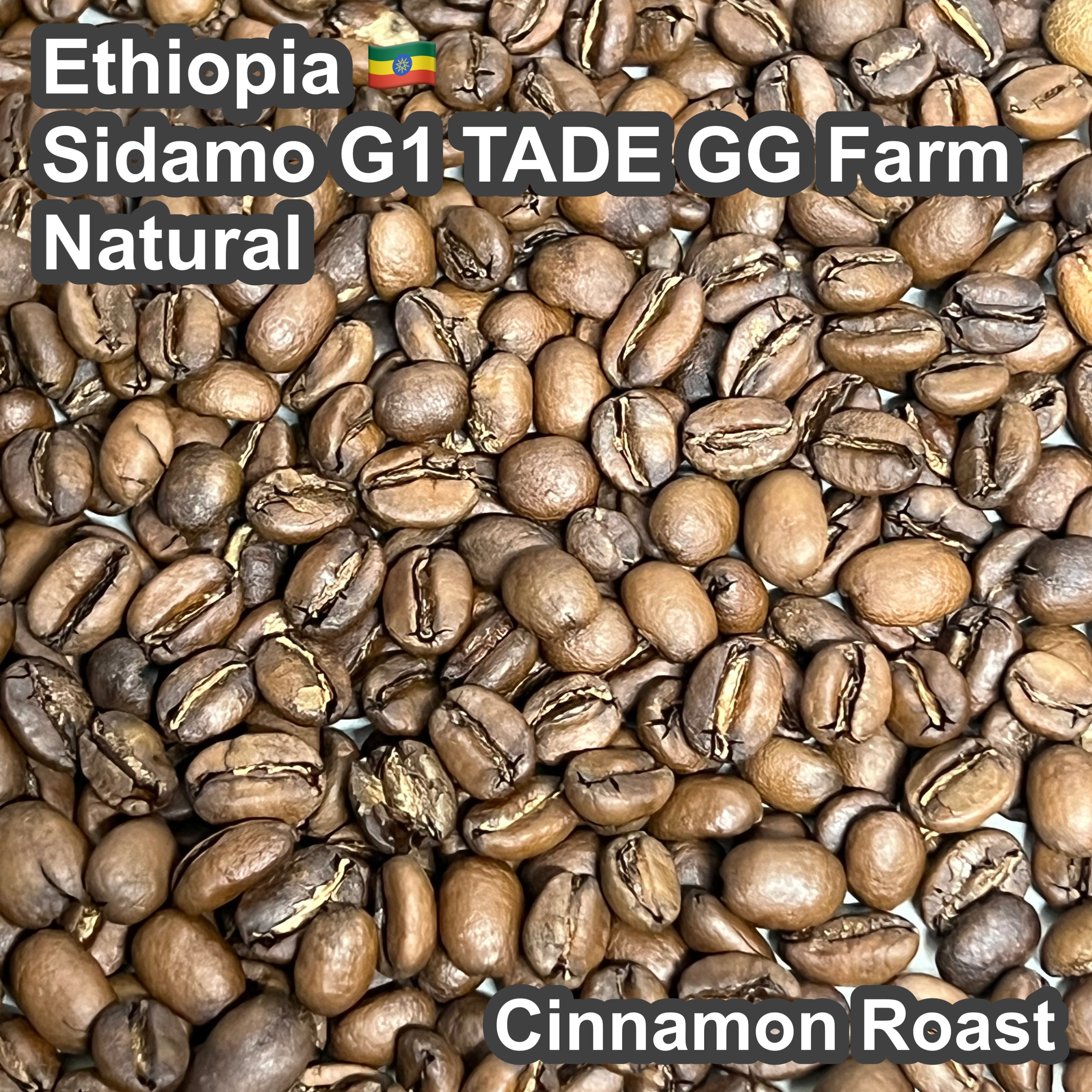 Ethiopia Sidamo G1 TADE GG Farm Natural（エチオピア シダモG1 タデGG農園 ナチュラル）100g【受注焙煎・自家焙煎コーヒー豆】【ラズベリーを感じさせる甘い香り】