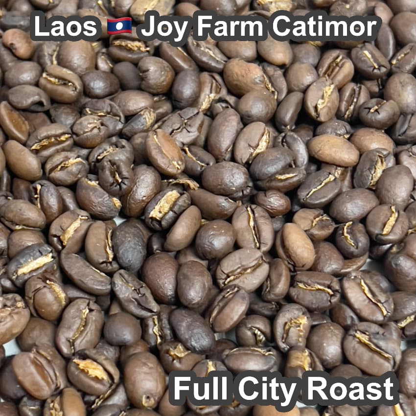 Laos Joy Farm Catimor（ラオス ジョイ農園 カティモール）100g【受注焙煎・自家焙煎コーヒー豆】【甘みと酸味のバランスが良い】
