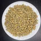Panama Boquete El Palomar Farm Geisha Natural（パナマ ボケテ エル パロマール農園 ゲイシャ ナチュラル）100g【受注焙煎・自家焙煎コーヒー豆】【繊細なジャスミンの香りと甘く力強いフルーツフレーバー】