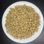Panama Boquete El Palomar Farm Geisha Natural（パナマ ボケテ エル パロマール農園 ゲイシャ ナチュラル）100g【受注焙煎・自家焙煎コーヒー豆】【繊細なジャスミンの香りと甘く力強いフルーツフレーバー】