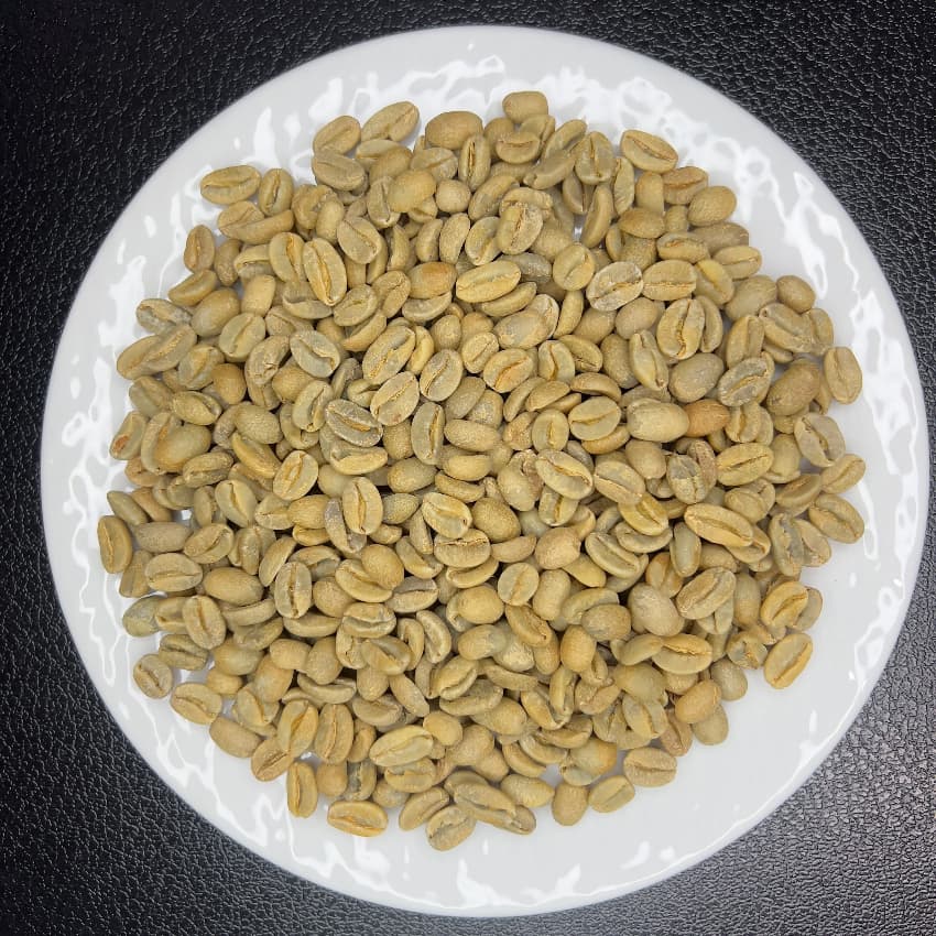 Panama Boquete El Palomar Farm Geisha Natural（パナマ ボケテ エル パロマール農園 ゲイシャ ナチュラル）100g【受注焙煎・自家焙煎コーヒー豆】【繊細なジャスミンの香りと甘く力強いフルーツフレーバー】