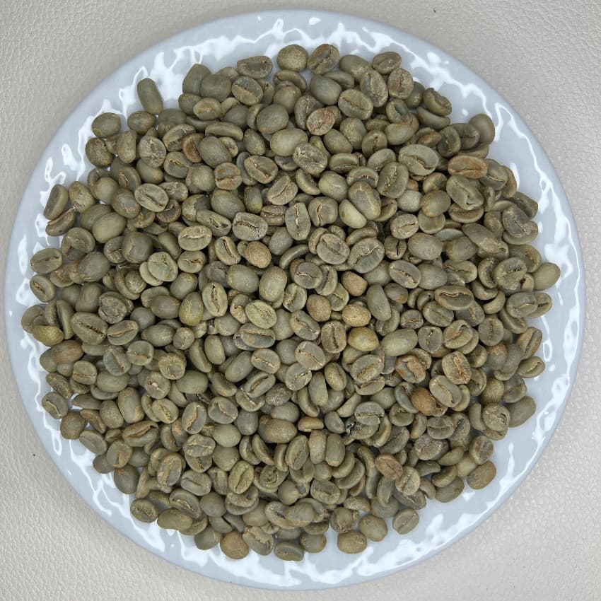 Guatemala Antigua Dorado Yellow Bourbon Washed SHB（グアテマラ アンティグア ドラド イエローブルボン ウォッシュ SHB）100g 【受注焙煎・自家焙煎コーヒー豆】【透き通るようなクリーンさと、とろける蜂蜜の甘い余韻】