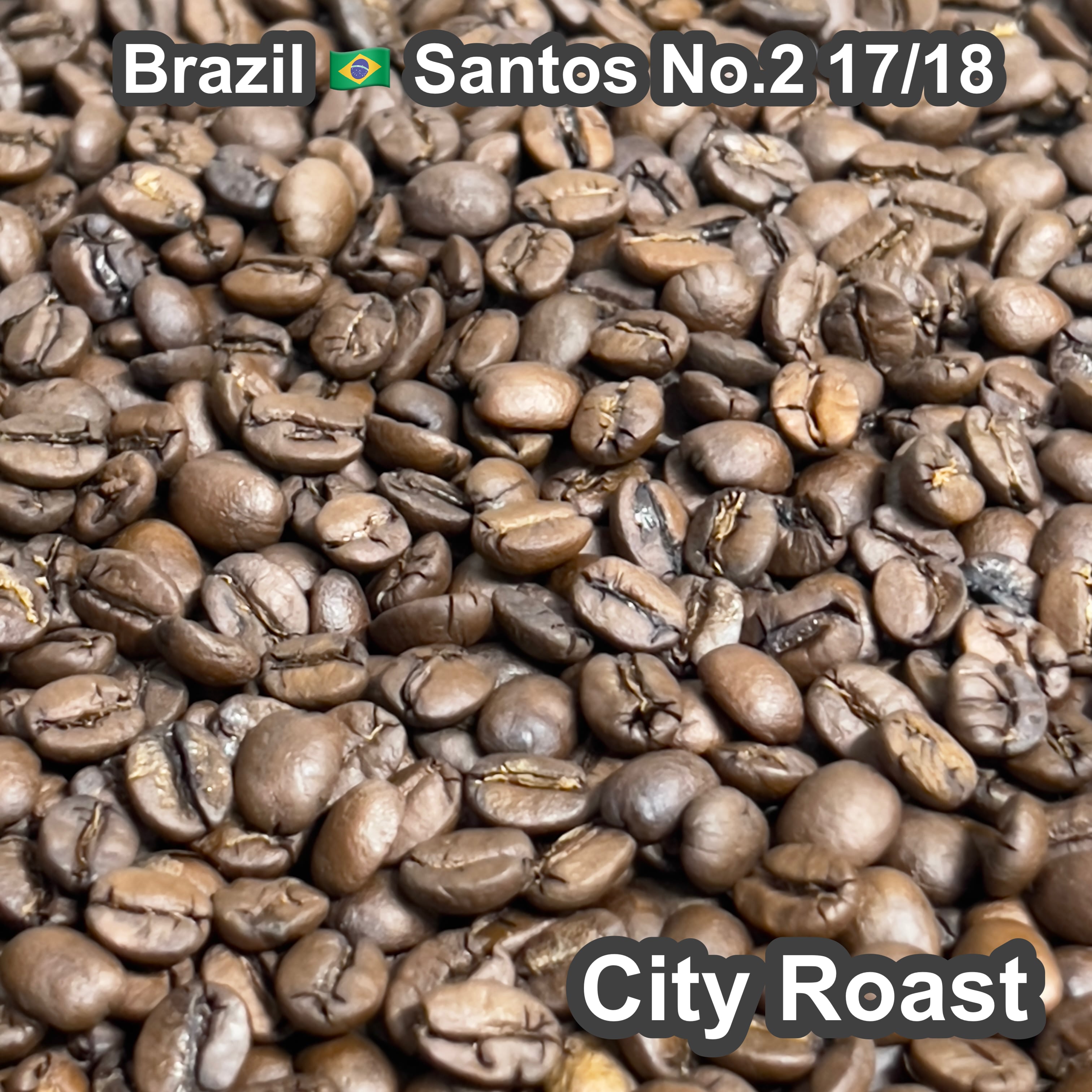 Brazil Santos No.2 17/18（ブラジル　サントスNO.2 17/18）100g【受注焙煎・自家焙煎コーヒー豆】【味や香りのバランスが良い】