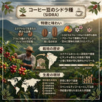 Ecuador Micro Lot Sidra Anaerobic Wash（エクアドル マイクロロット シドラ アナエロビックウォッシュ）100g【受注焙煎・自家焙煎コーヒー豆】【エキゾチックな酸味と非常に強い甘み】