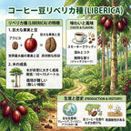 Malaysia  Liberica G1 My Liberica Farm Honey process（マレーシア リベリカ G1 マイリベリカ農園 ハニープロセス）100g【受注焙煎・自家焙煎コーヒー豆】【独特な風味でスパイシーな苦味】【希少なリベリカ種】 (コピー)