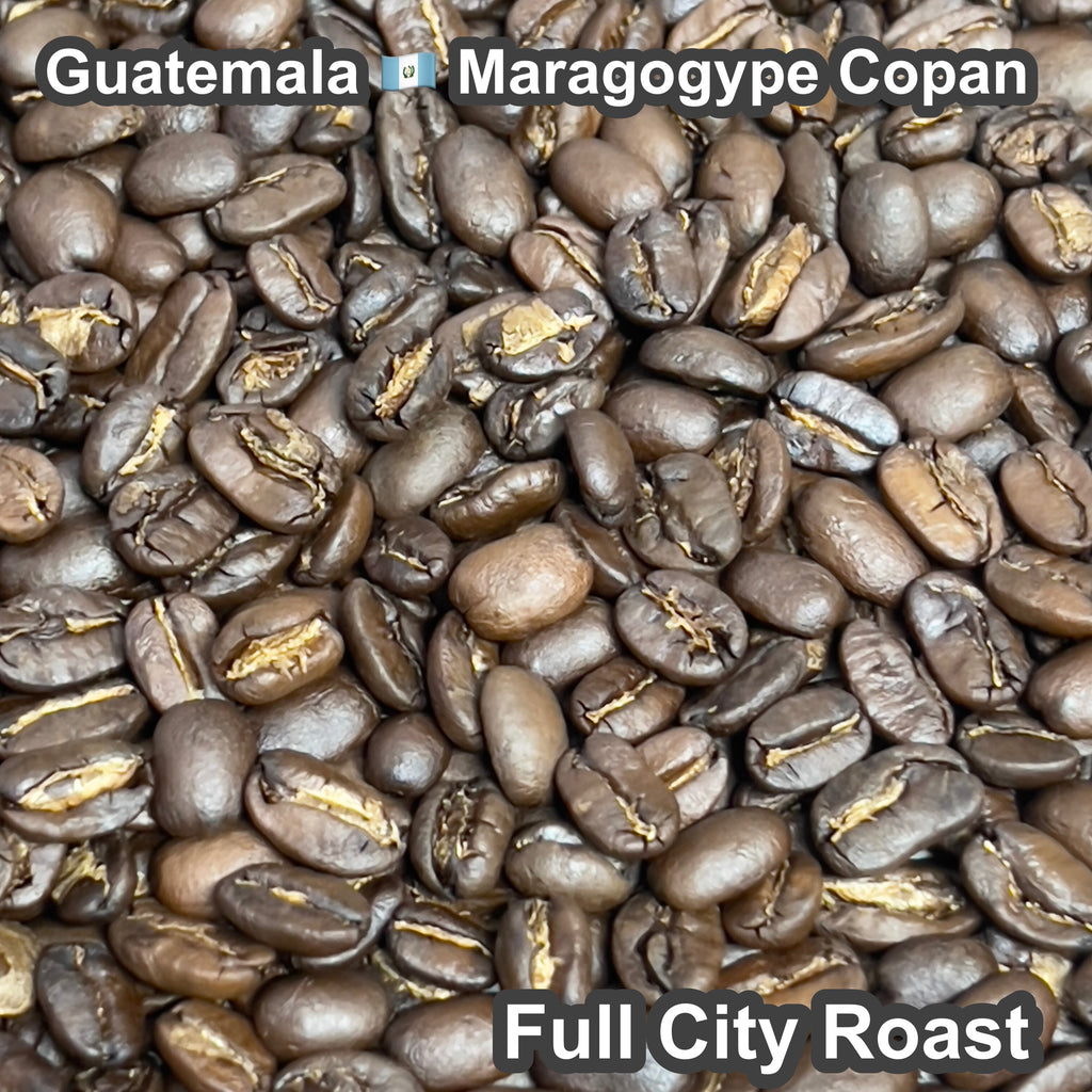 Guatemala Maragogype Copan（ グアテマラ マラゴジッペ コバン）100g【受注焙煎・自家焙煎コーヒー豆】【爽やかな酸味と深いコク】
