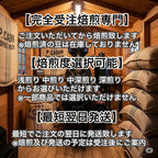 ＜数量限定＞【夏季限定】夏のコーヒー豆福袋（3種豆各100g 合計300g） 【受注焙煎・自家焙煎コーヒー豆】