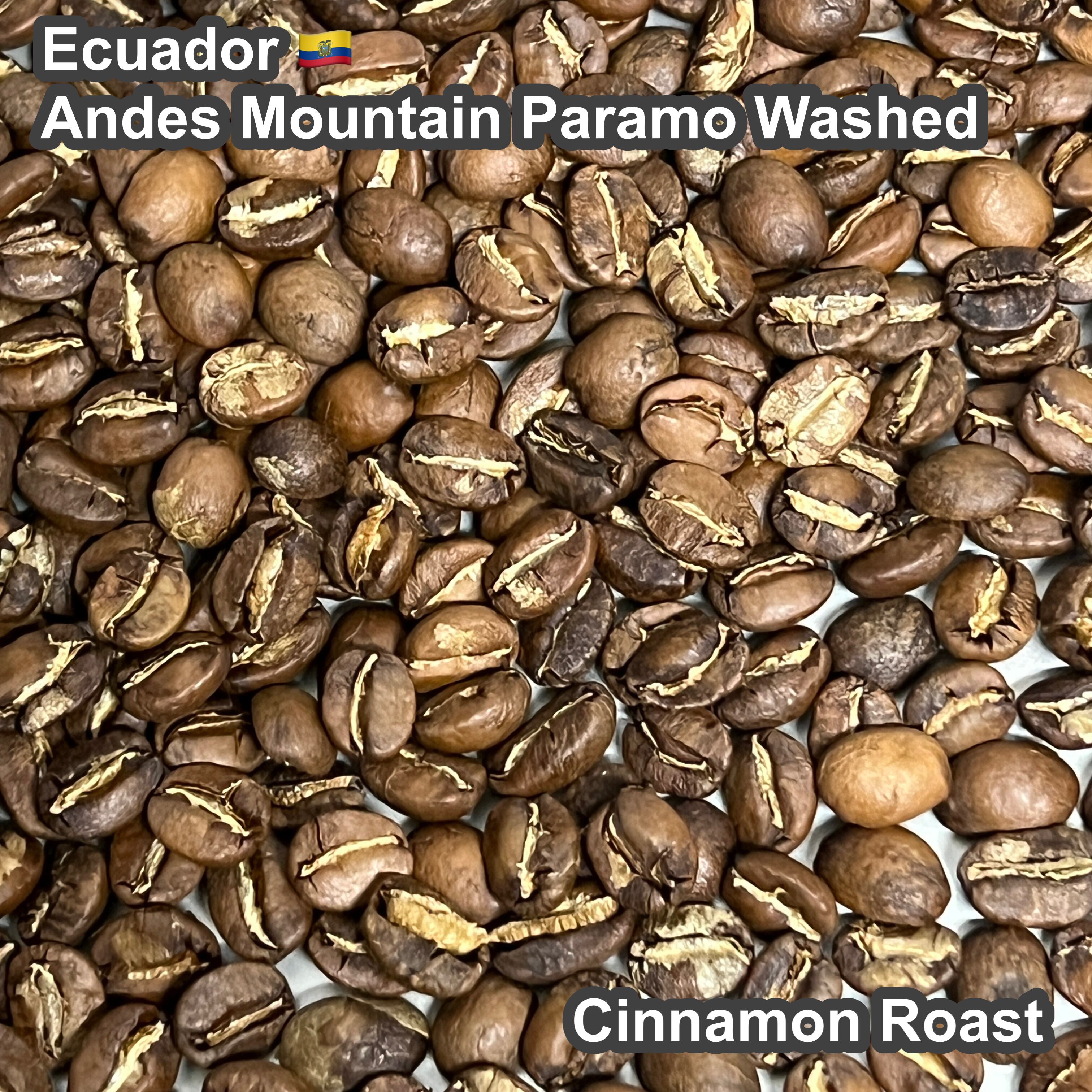 Ecuador Andes Mountain Paramo Washed（エクアドル アンデスマウンテン パラモ ウォッシュド）100g【受注焙煎・自家焙煎コーヒー豆】【酸味と苦味のバランスが完璧】