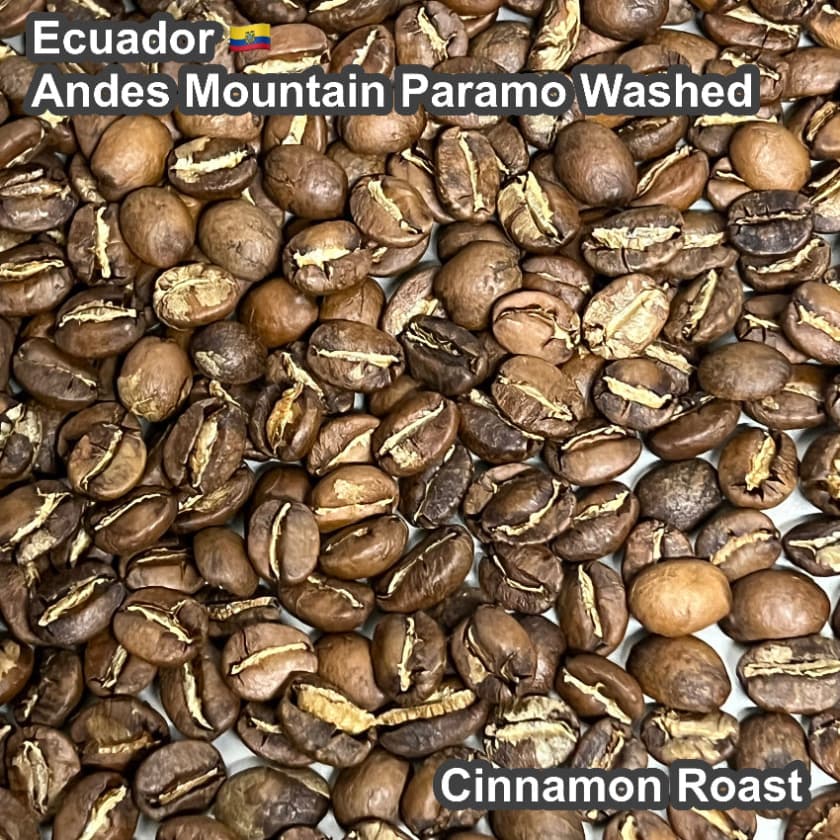 Ecuador Andes Mountain Paramo Washed（エクアドル アンデスマウンテン パラモ ウォッシュド）100g【受注焙煎・自家焙煎コーヒー豆】【酸味と苦味のバランスが完璧】
