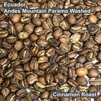 Ecuador Andes Mountain Paramo Washed（エクアドル アンデスマウンテン パラモ ウォッシュド）100g【受注焙煎・自家焙煎コーヒー豆】【酸味と苦味のバランスが完璧】