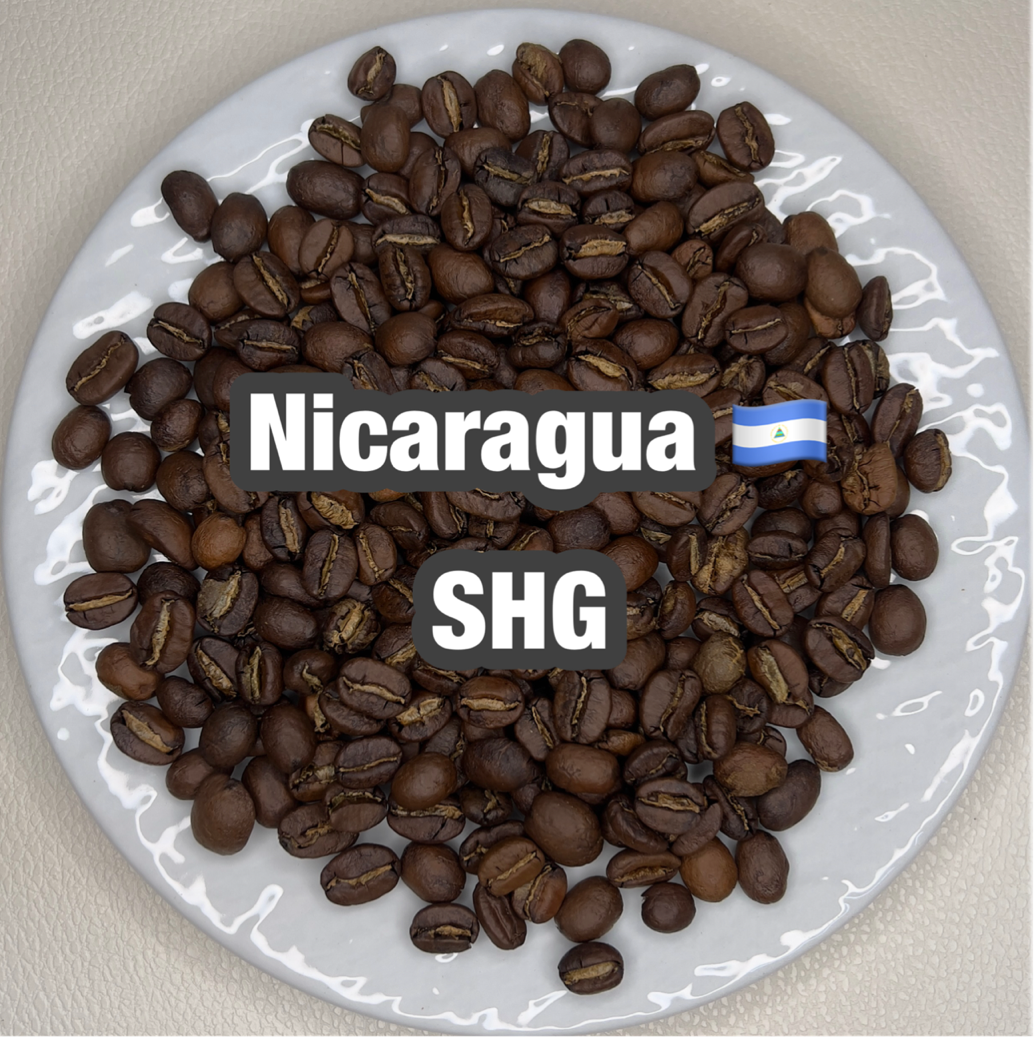 Nicaragua SHG（ニカラグア SHG）100g【受注焙煎・自家焙煎コーヒー豆】【フルーティーな香りとすっきりした酸味】
