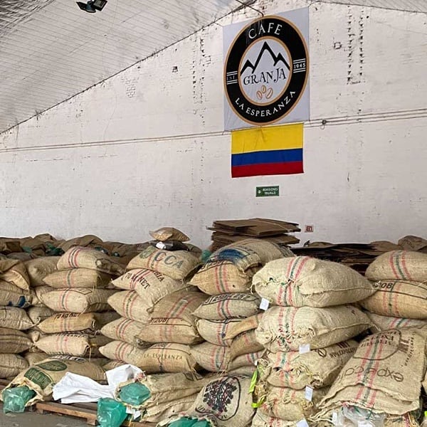 Colombia CGLE Las Margaritas Farm Excelso（コロンビア CGLE ラス・マルガリータス農園 エクセルソ）100g【受注焙煎・自家焙煎コーヒー豆】【苦味と酸味のバランス良い・イエローブルボン】