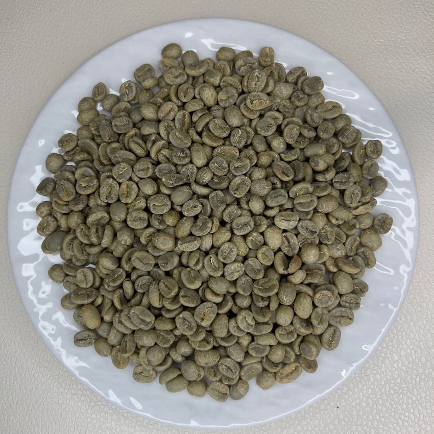 Panama La Esmeralda Diamond Mountain（パナマ ラ エスメラルダ農園 ダイヤモンドマウンテン）100g【受注焙煎・自家焙煎コーヒー豆】【爽やかな香りと酸味】