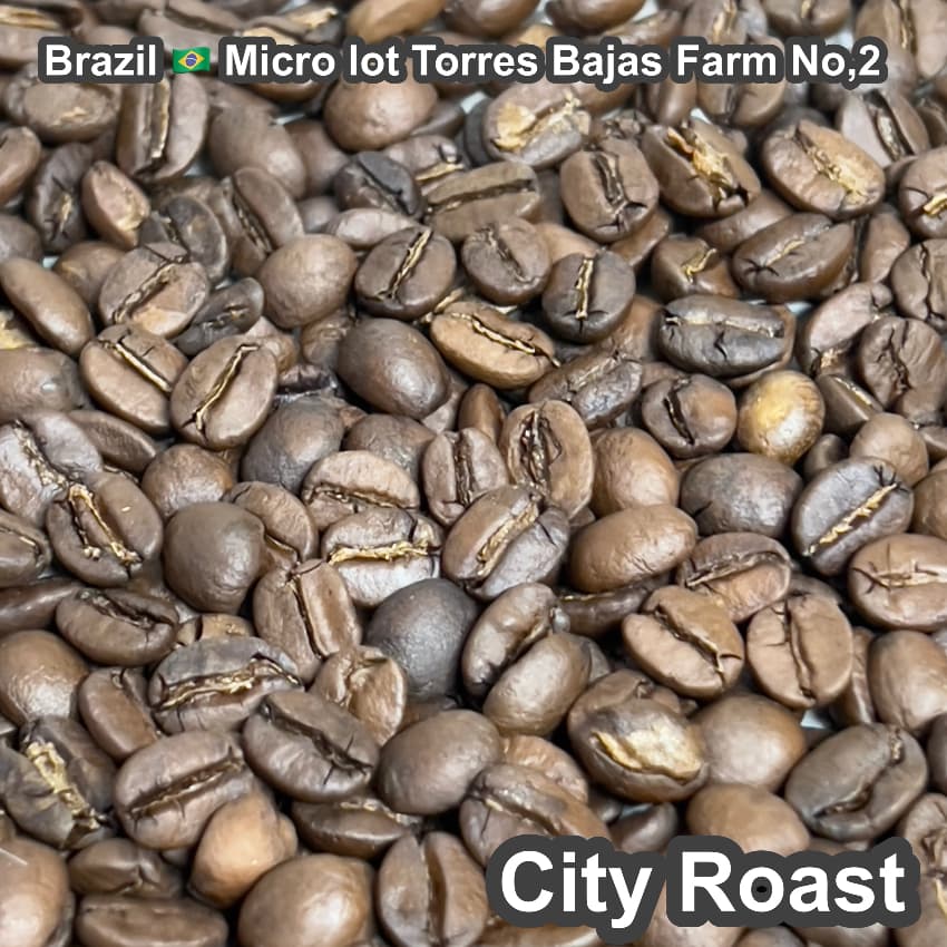 Brazil Micro lot Torres Bajas Farm No,2（ブラジル マイクロロット トレスバハス農園 No,2）100g【受注焙煎・自家焙煎コーヒー豆】【味や香りのバランスが良い・イエローブルボン】