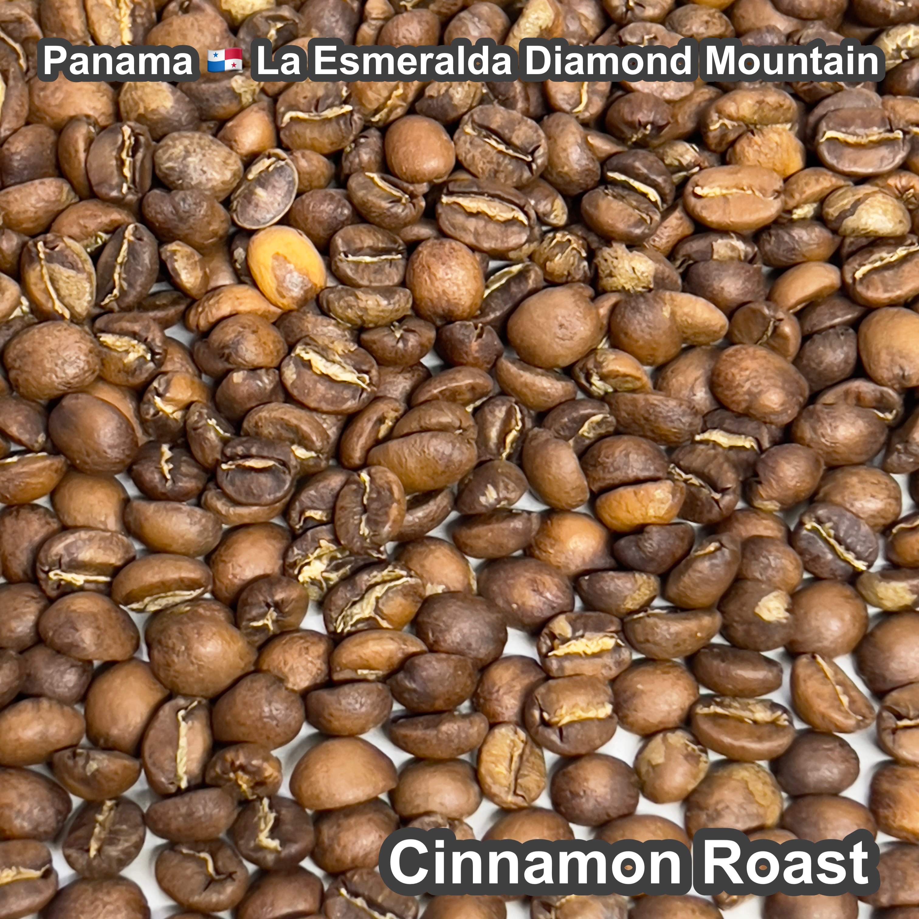 Panama La Esmeralda Diamond Mountain（パナマ ラ エスメラルダ農園 ダイヤモンドマウンテン）100g【受注焙煎・自家焙煎コーヒー豆】【爽やかな香りと酸味】