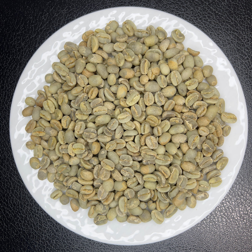 Guatemala New Oriente Geisha Wash SHB（グアテマラ ニューオリエンテ ゲイシャ ウォッシュ SHB）100g【受注焙煎・自家焙煎コーヒー豆】【柑橘のやさしい風味と、リンゴ酸系の酸味】