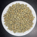 Guatemala New Oriente Geisha Wash SHB（グアテマラ ニューオリエンテ ゲイシャ ウォッシュ SHB）100g【受注焙煎・自家焙煎コーヒー豆】【柑橘のやさしい風味と、リンゴ酸系の酸味】
