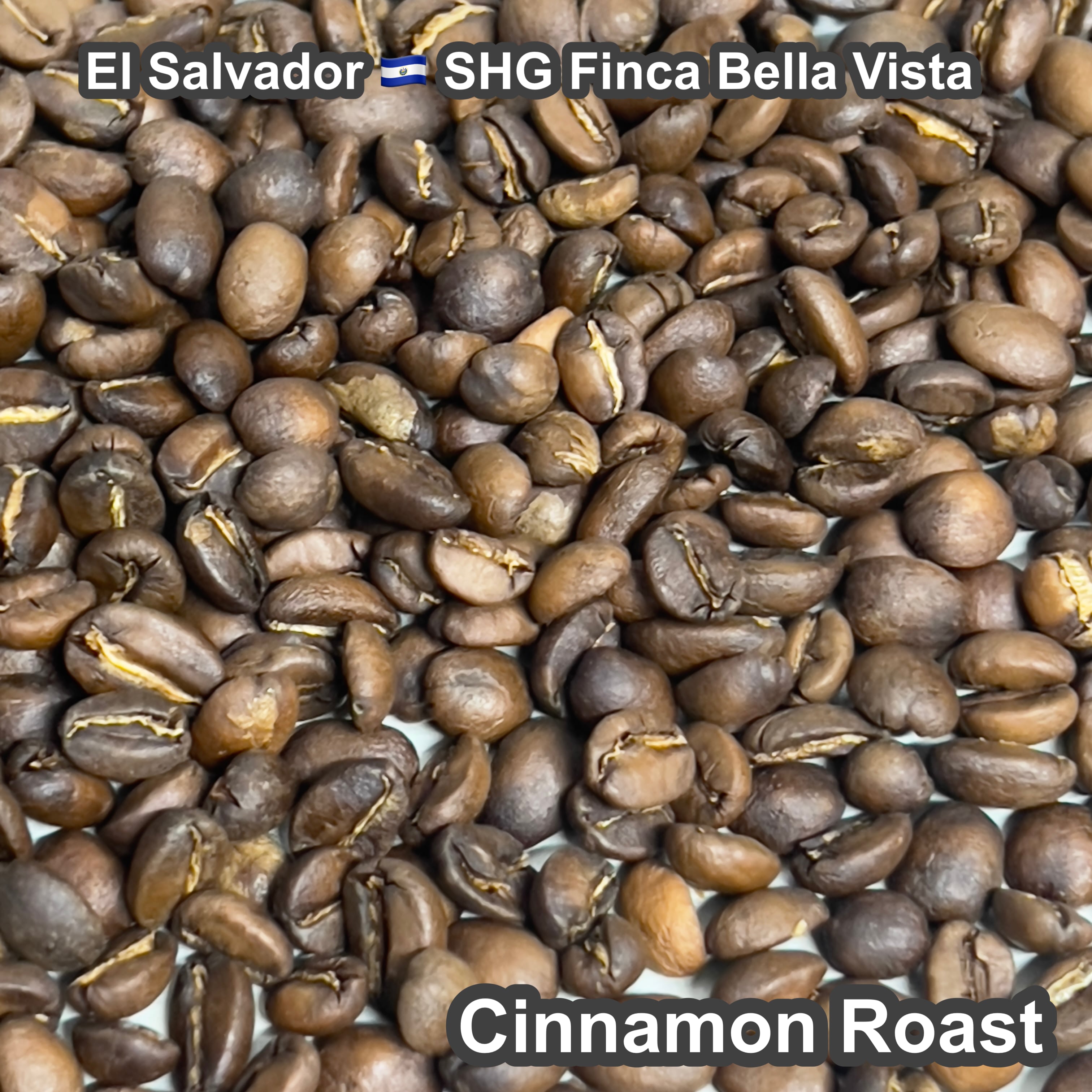 El Salvador SHG Finca Bella Vista（エルサルバドル SHG ベジャ・ビスタ農園）100g【受注焙煎・自家焙煎コーヒー豆】【マイルドな酸味とすっきり後味】
