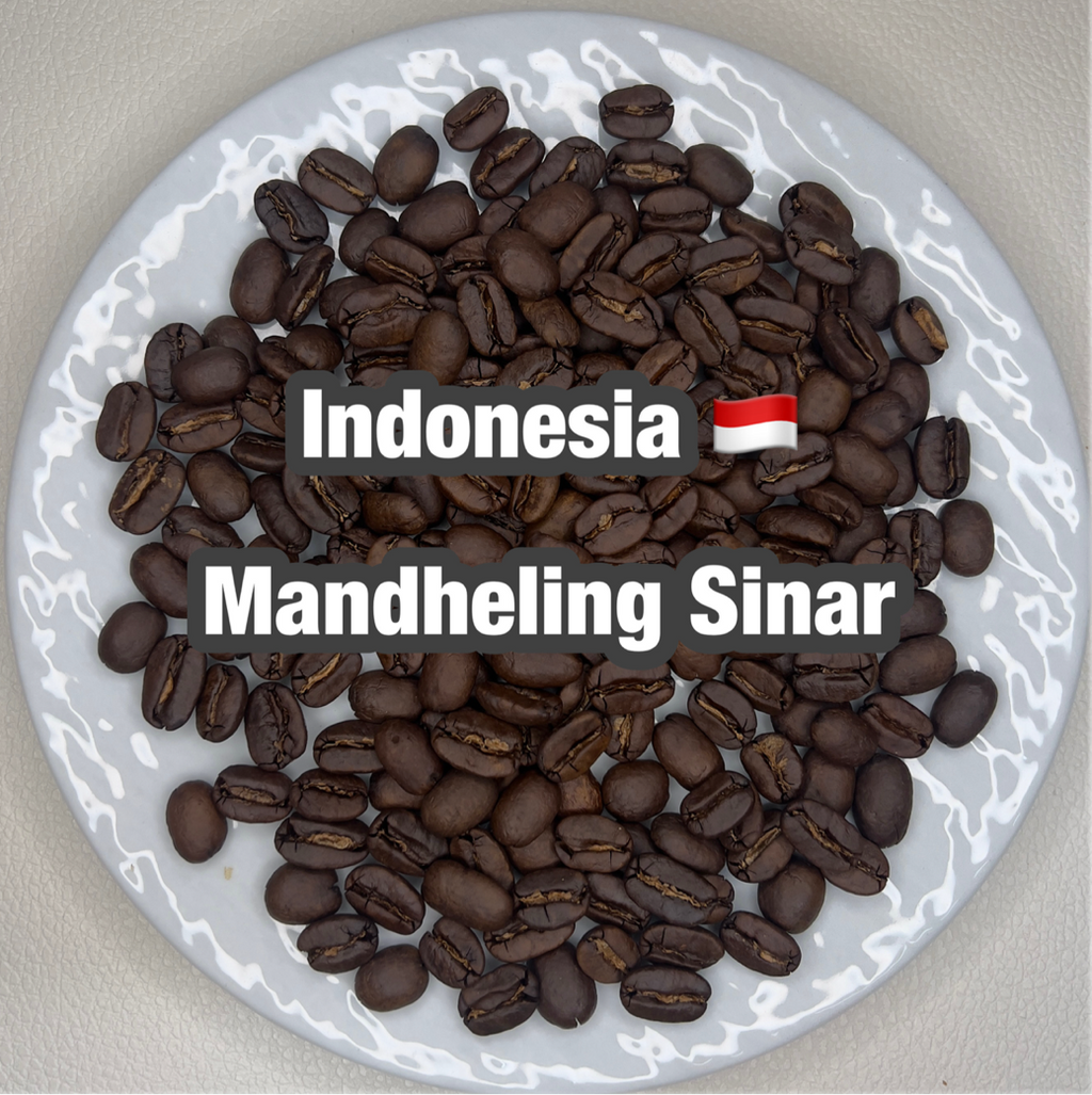 Indonesia Mandheling Sinar（インドネシア マンデリン シナール)100g【受注焙煎・自家焙煎コーヒー豆】【酸味を抑えた力強いコク】