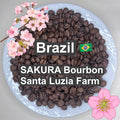 Brazil SAKURA Bourbon Santa Luzia Farm(2026年）（ブラジル さくらブルボン サンタルジア農園）100g【受注焙煎・自家焙煎コーヒー豆】【味や香りのバランスが良い】