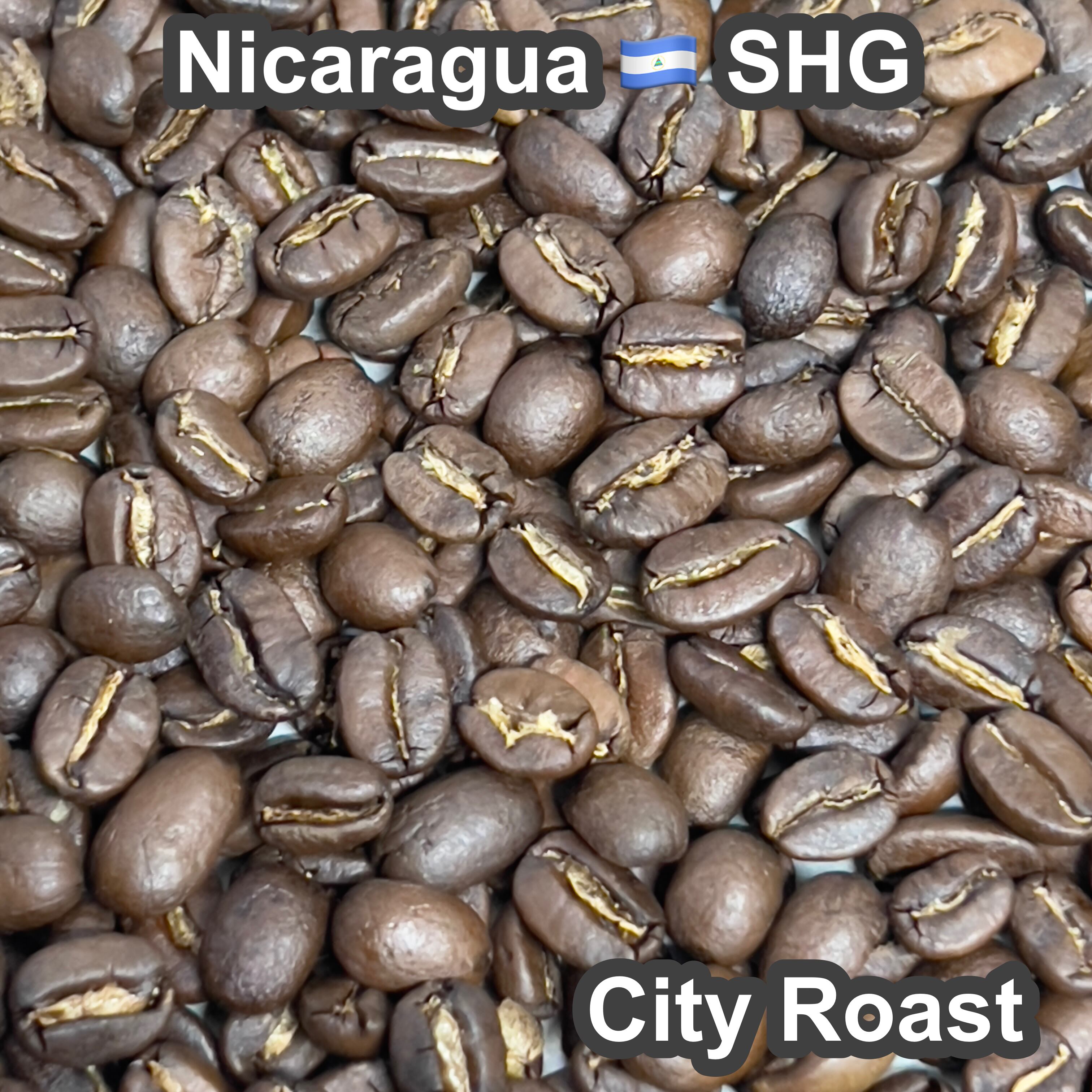 Nicaragua SHG（ニカラグア SHG）100g【受注焙煎・自家焙煎コーヒー豆】【フルーティーな香りとすっきりした酸味】