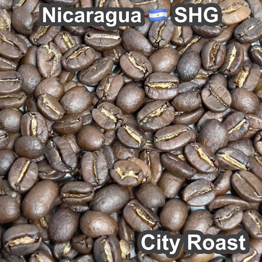 Nicaragua SHG（ニカラグア SHG）100g【受注焙煎・自家焙煎コーヒー豆】【フルーティーな香りとすっきりした酸味】