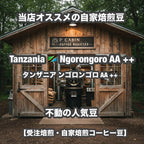 Tanzania Ngorongoro AA ++（タンザニア ンゴロンゴロ AA ++）100g【受注焙煎・自家焙煎コーヒー豆】【豊かなコクと爽やかな酸味】