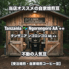 Tanzania Ngorongoro AA ++（タンザニア ンゴロンゴロ AA ++）100g【受注焙煎・自家焙煎コーヒー豆】【豊かなコクと爽やかな酸味】