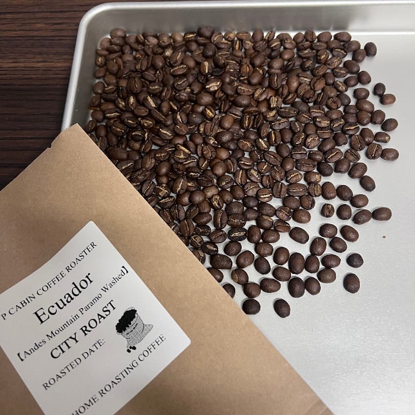 Ecuador Andes Mountain Paramo Washed（エクアドル アンデスマウンテン パラモ ウォッシュド）100g【受注焙煎・自家焙煎コーヒー豆】【酸味と苦味のバランスが完璧】