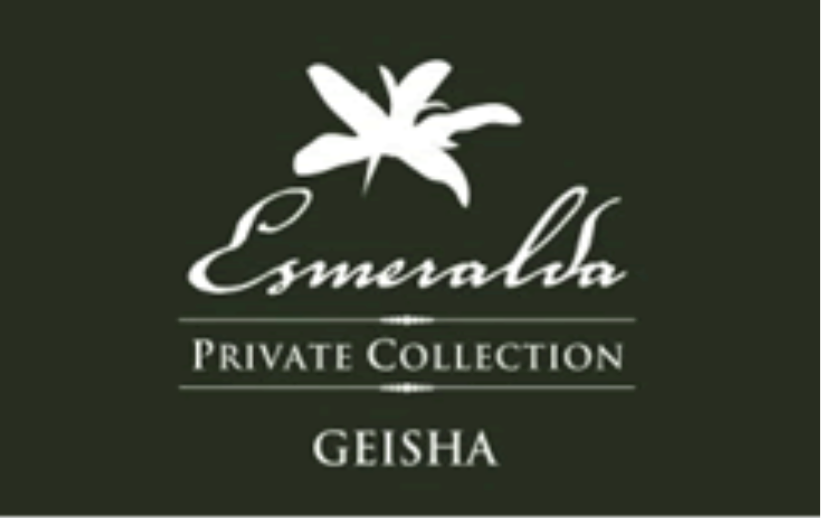 Panama La Esmeralda Private Collection Geisha Natural（パナマ ラ エスメラルダ プライベート コレクション ゲイシャ ナチュラル）100g【受注焙煎・自家焙煎コーヒー豆】【リッチで複雑な風味 フローラルな香りのゲイシャ】