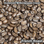 Guatemala Maragogype Copan（ グアテマラ マラゴジッペ コバン）100g【受注焙煎・自家焙煎コーヒー豆】【爽やかな酸味と深いコク】