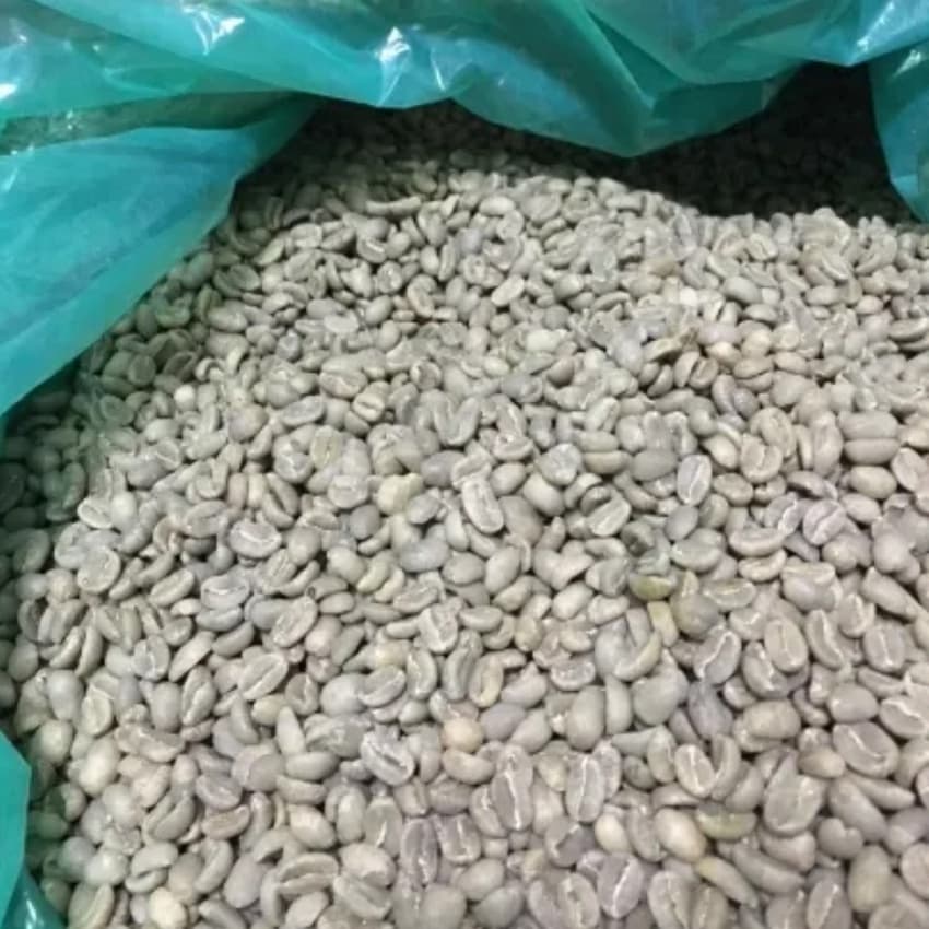 Ethiopia Yirgacheffe G1 Kochare Washed（エチオピア イルガチャフィ G1 コチャレ ウォッシュド）100g 【受注焙煎・自家焙煎コーヒー豆】【ジャスミンと果実の華やかな旋律】