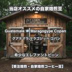 Guatemala Maragogype Copan（ グアテマラ マラゴジッペ コバン）100g【受注焙煎・自家焙煎コーヒー豆】【爽やかな酸味と深いコク】