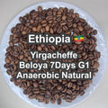 Ethiopia Yirgacheffe Beloya 7Days G1 Anaerobic Natural（エチオピア イルガチャフィG1 ベロヤ 7Days アナエロビック ナチュラル）100g【受注焙煎・自家焙煎コーヒー豆】【芳醇で官能的な一杯）