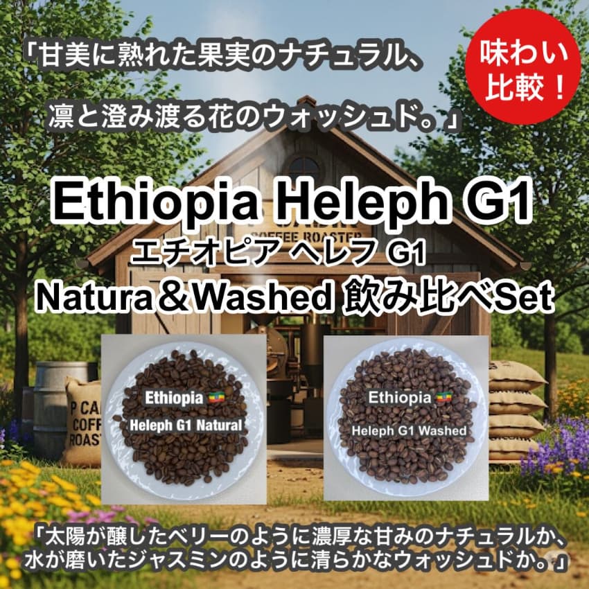 Ethiopia Heleph G1 Natural＆Washed 飲み比べセット（エチオピア へレフ G1 ナチュラル＆ウォッシュド）各75g 【受注焙煎・自家焙煎コーヒー豆】【フルーティーな香りと酸味】