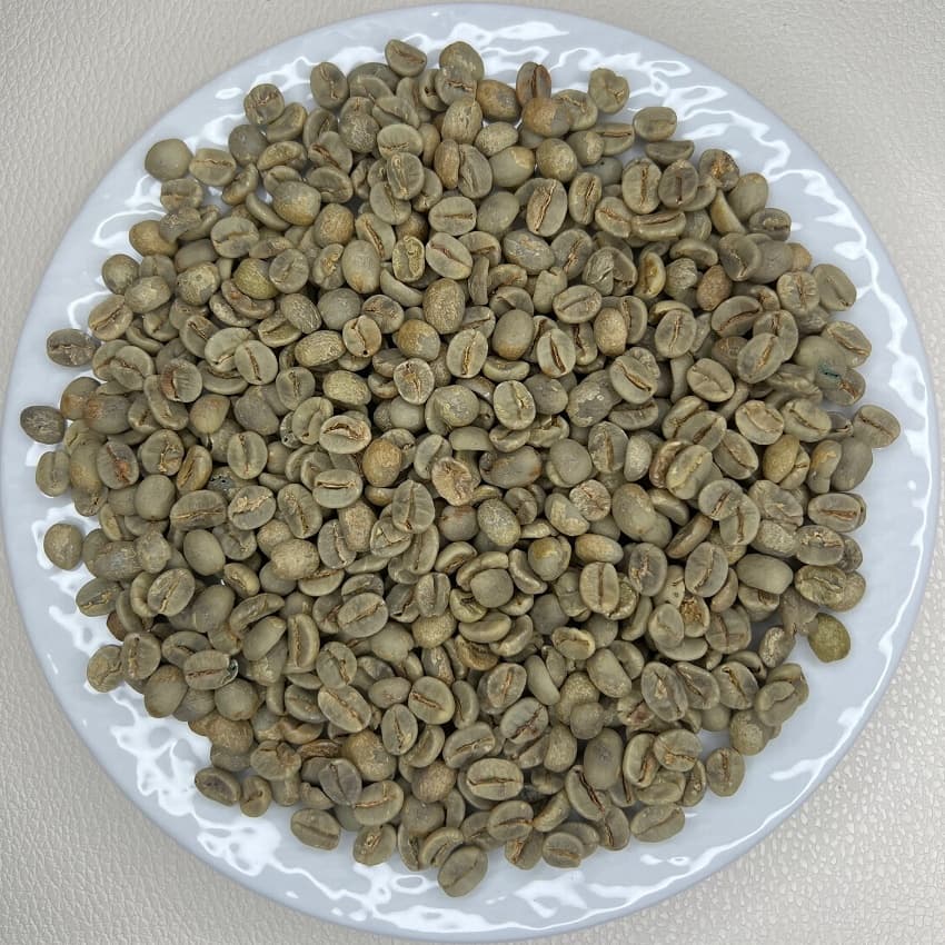 Brazil Santos No.2 17/18（ブラジル　サントスNO.2 17/18）100g【受注焙煎・自家焙煎コーヒー豆】【味や香りのバランスが良い】