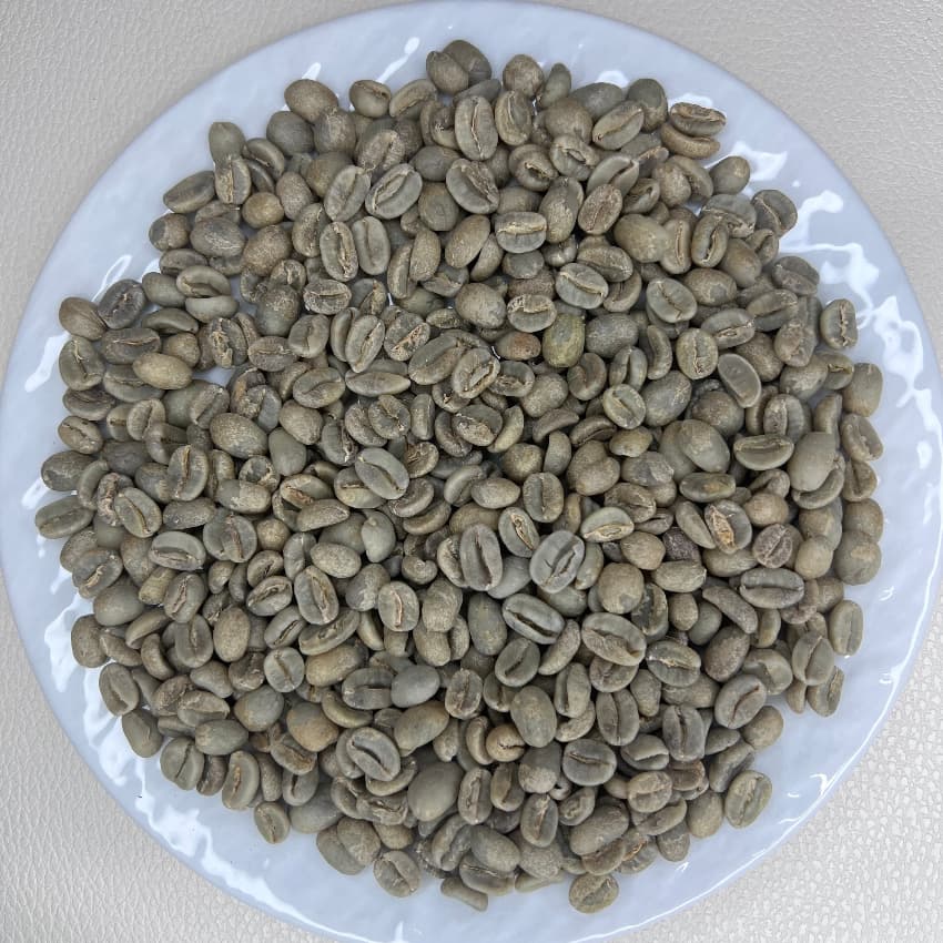 Ecuador Micro Lot Sidra Anaerobic Wash（エクアドル マイクロロット シドラ アナエロビックウォッシュ）100g【受注焙煎・自家焙煎コーヒー豆】【エキゾチックな酸味と非常に強い甘み】