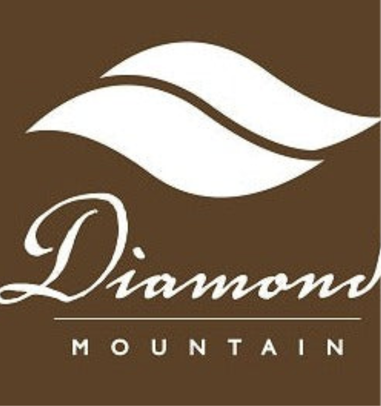 Panama La Esmeralda Diamond Mountain（パナマ ラ エスメラルダ農園 ダイヤモンドマウンテン）100g【受注焙煎・自家焙煎コーヒー豆】【爽やかな香りと酸味】