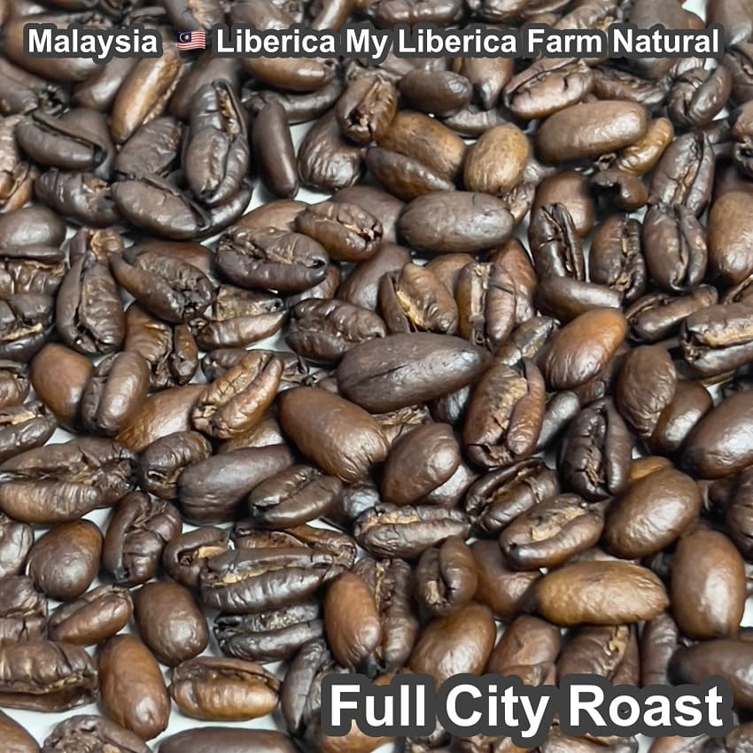 Malaysia Liberica My Liberica Farm Natural（マレーシア リベリカ マイリベリカ農園 ナチュラル）100g【受注焙煎・自家焙煎コーヒー豆】【独特な風味でスパイシーな苦味】【希少なリベリカ種】