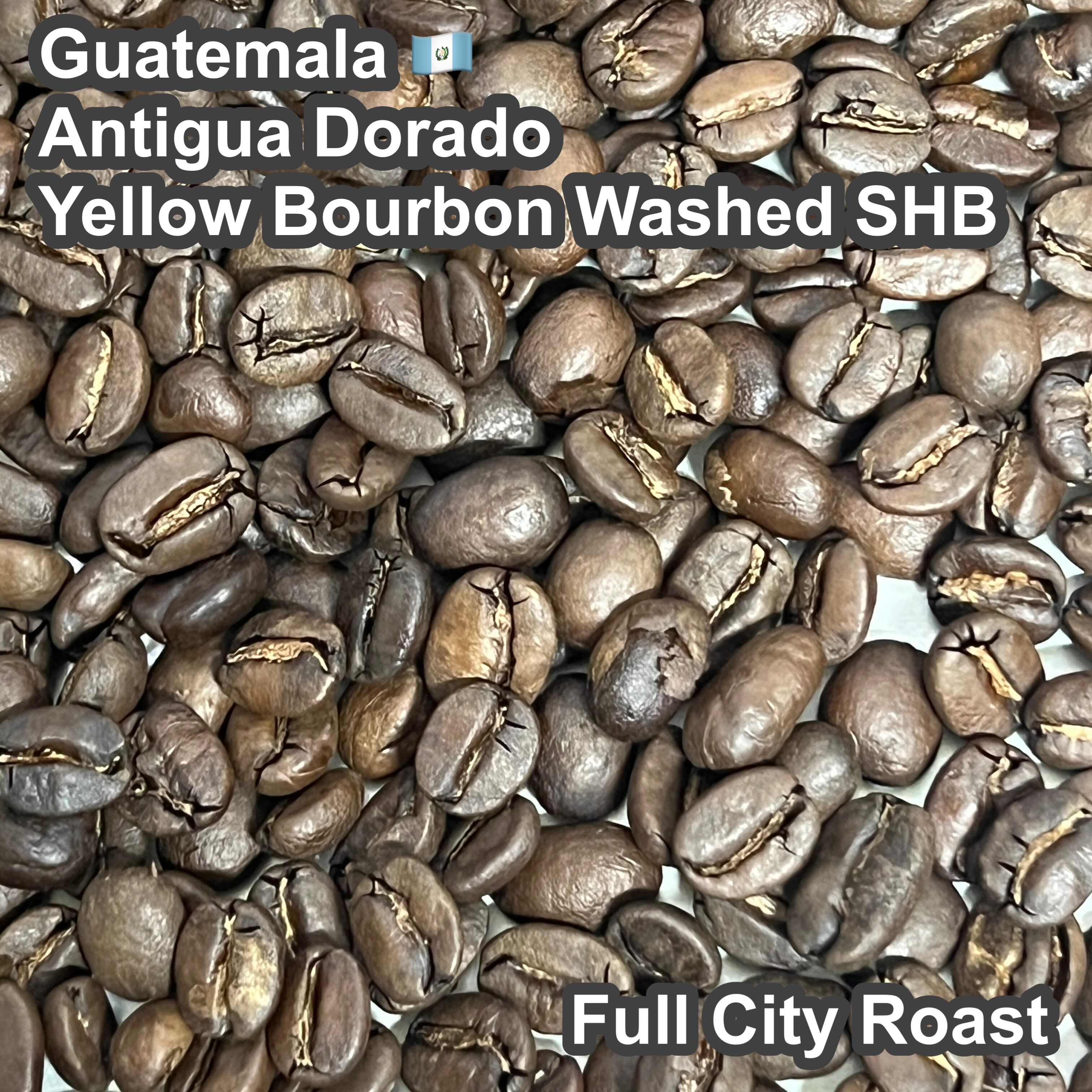 Guatemala Antigua Dorado Yellow Bourbon Washed SHB（グアテマラ アンティグア ドラド イエローブルボン ウォッシュ SHB）100g 【受注焙煎・自家焙煎コーヒー豆】【透き通るようなクリーンさと、とろける蜂蜜の甘い余韻】