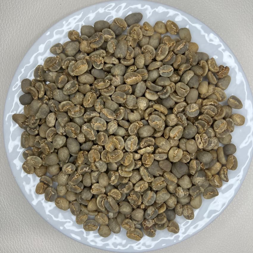 Indonesia Mandheling Sinar（インドネシア マンデリン シナール)100g【受注焙煎・自家焙煎コーヒー豆】【酸味を抑えた力強いコク】