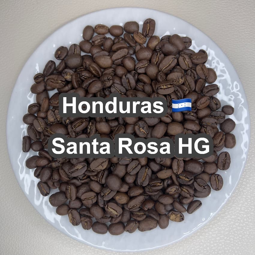 Honduras Santa Rosa HG（ホンジュラス サンタロサ HG）100g【受注焙煎・自家焙煎コーヒー豆】【甘い香りと爽やかな後味】