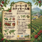 Laos Joy Farm Catimor（ラオス ジョイ農園 カティモール）100g【受注焙煎・自家焙煎コーヒー豆】【甘みと酸味のバランスが良い】